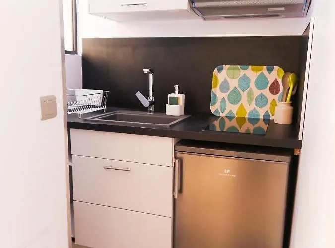 普尔潘天顶斗牛场尊贵一室公寓 公寓 圖盧茲