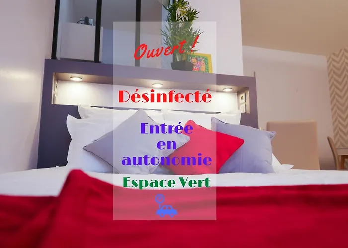 普尔潘天顶斗牛场尊贵一室公寓 公寓 圖盧茲